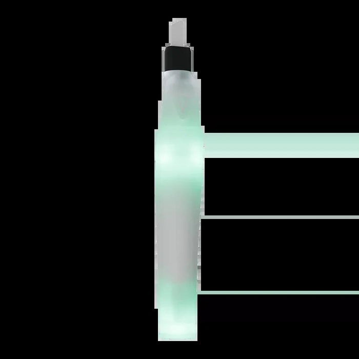 Focus V - Saber