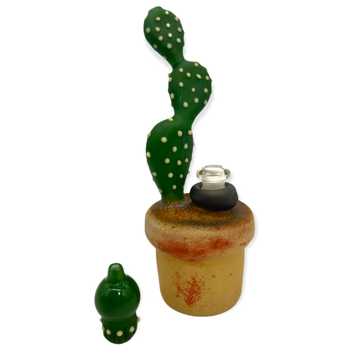 Relak Glass - Cactus Rig